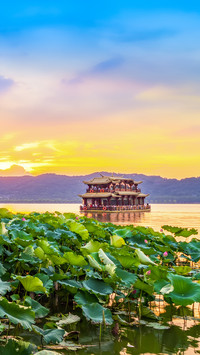 Lotus Pond at West Lake, Hangzhou
