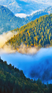 Clouds and mist surround the mountains