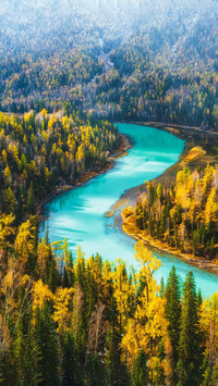 The most beautiful autumn scenery in china is beginning