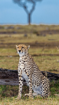 Kenyas top tourist attractions in 3