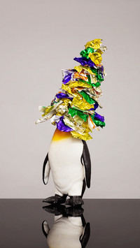 International-Penguin