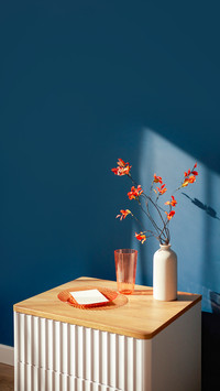 Minimalist still life with orange flowers in a vase