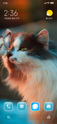 Cute Cat