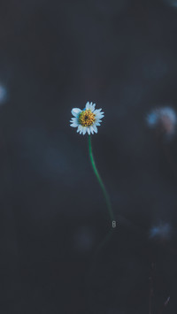 Pranav11 