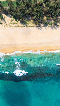 Gold Coast