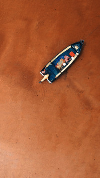 Bird's eye View (12)