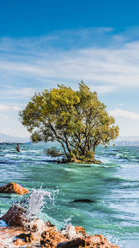 Dont miss the place around erhai lake