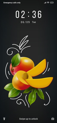 Fruits_3MDP