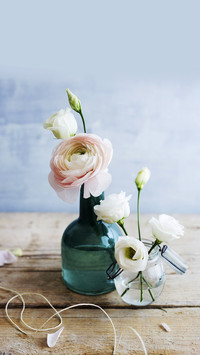 Essential nutrient water for flower cultivation 17