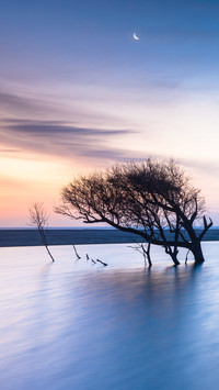 Vertical landscape of sunrise with crescent moon