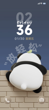 3D佛系熊猫时间感知