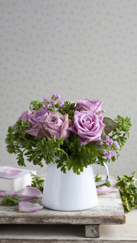 Which plants attract wealth 3