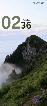Late Night