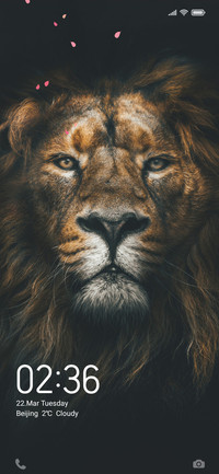 Lion