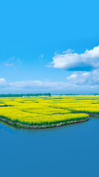 来与花海撞个满怀吧