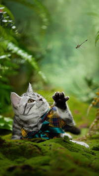 Little tiger spots catching dragonflies