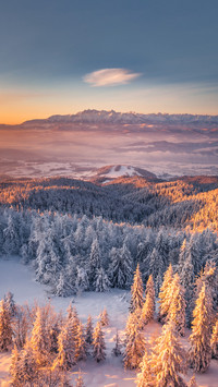 Winter morning in Gorce on the tower on the top of Luban