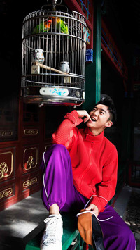郑恺