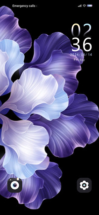 Blossoms