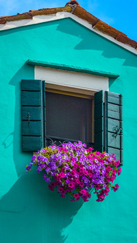 The flowers on the windowsill