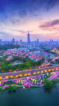 南京免费的4A景区
