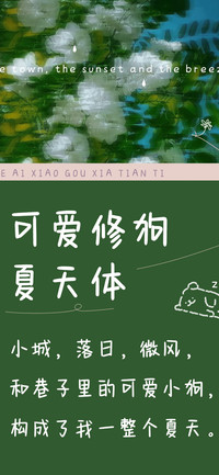 可爱修狗夏天体