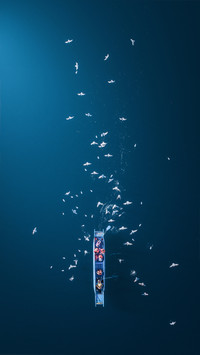 Salvage the starry river in the pure deep blue