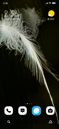 Gray Leaf