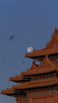 这是我为你收集的月光