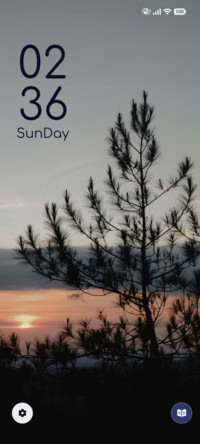 Pine Dusk