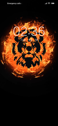 Flame Lion King