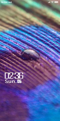 Peacock Feather_DWM2