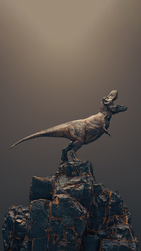 Creative wallpapers