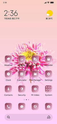 Daisy Petal