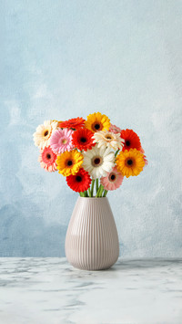 Bouquet of beautiful colorful gerbera flowers in vase