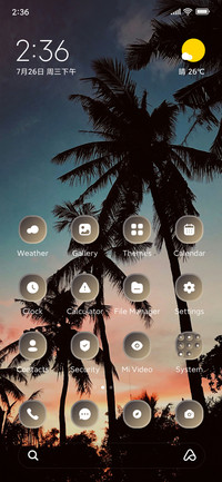 Coconut Sky
