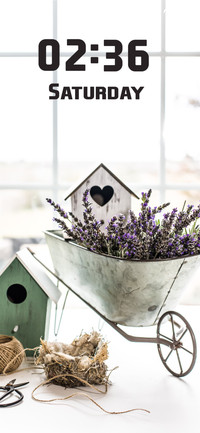Bird House
