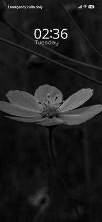 Silent Cosmos