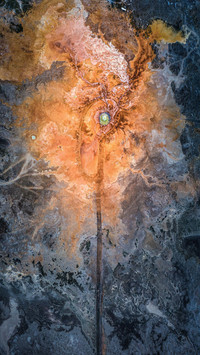 A miracle in a forbidden zone of life