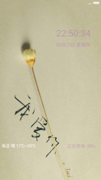 收获爱情