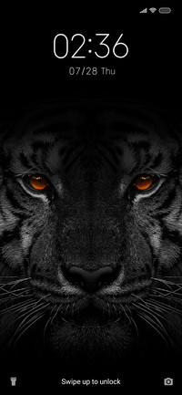 Black Tiger