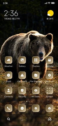 Brown bear