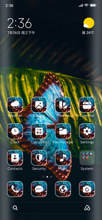 Butterfly