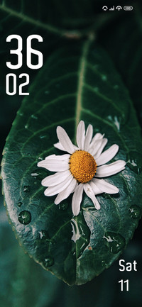Leaf