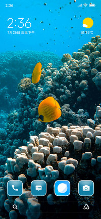 Sea