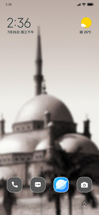 Graceful Mosque