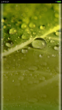 雨露之光