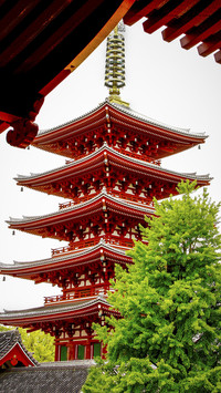 日本门脸浅草寺