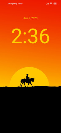 desert horse