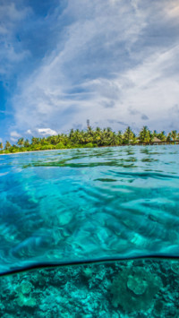 Maldives (10)